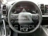 2025 Citroen C5