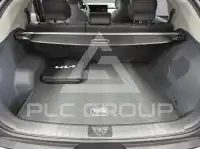 2025 KIA EV
