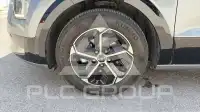 2025 KIA Niro