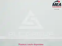 2025 Renault Master