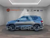 2026 Cupra Other