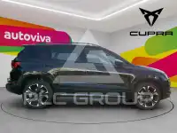 2026 Cupra Other