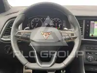 2026 Cupra Other