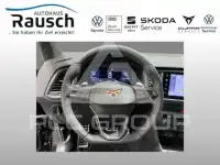2026 Cupra Other