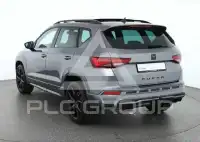 2026 Cupra Other