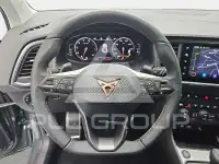 2026 Cupra Other