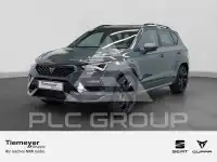 2026 Cupra Other