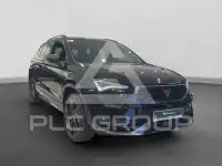 2026 Cupra Other