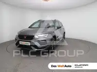 2026 Cupra Other