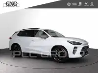 2026 Cupra Other