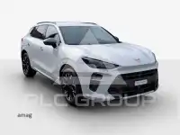 2026 Cupra Other