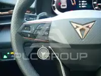 2026 Cupra Other