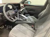 2026 Cupra Other