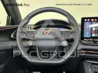 2026 Cupra Other