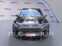 2026 Cupra Other
