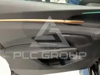 2026 Cupra Other