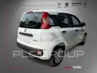 2026 Fiat Panda