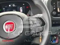 2026 Fiat Panda