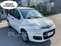 2026 Fiat Panda