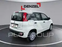 2026 Fiat Panda