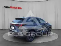 2026 Lexus NX