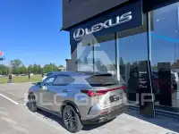2026 Lexus NX