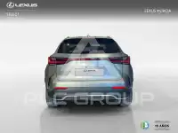 2026 Lexus NX