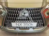 2026 Lexus NX