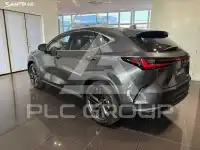 2026 Lexus NX