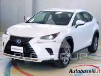 2026 Lexus NX