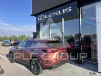 2026 Lexus NX