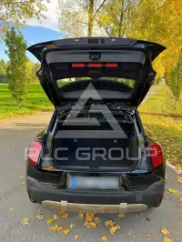 2026 Mini Paceman