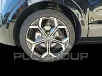 2026 KIA Niro