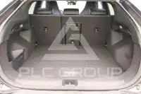2026 Ford Capri