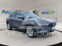 2026 Ford Kuga
