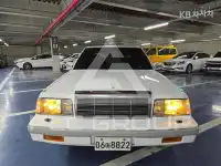 1991 Hyundai Grandeur