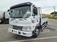 2007 Hyundai TRUCK