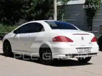 2007 Peugeot 307