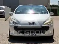 2007 Peugeot 307