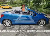 2009 Peugeot 207
