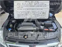 2010 KIA Carnival