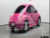2010 Volkswagen BEETLE