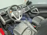 2010 Smart Porto