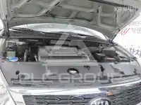 2012 KIA Carnival