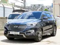2013 Hyundai Maxcruz