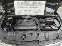 2013 KIA Carnival