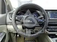 2014 KIA Carnival