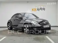 2014 Volkswagen BEETLE