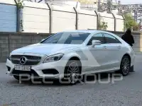2015 Mercedes Benz CLS-Class