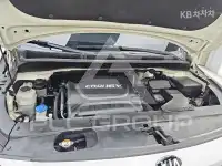 2017 KIA Carnival